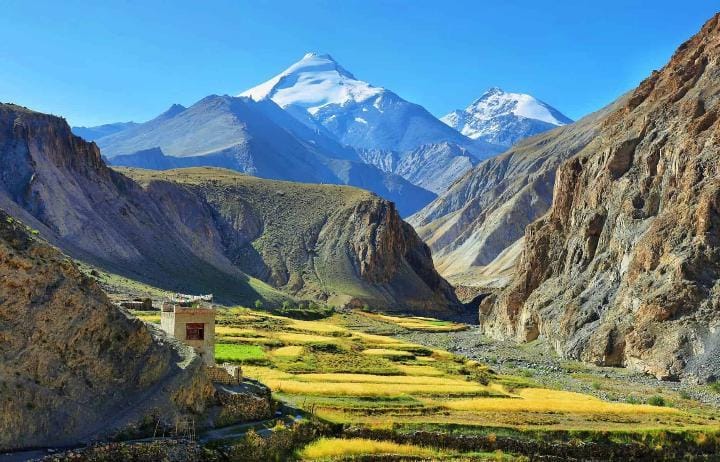 whatsapp image 2025 12 01 at 7.36.09 pm